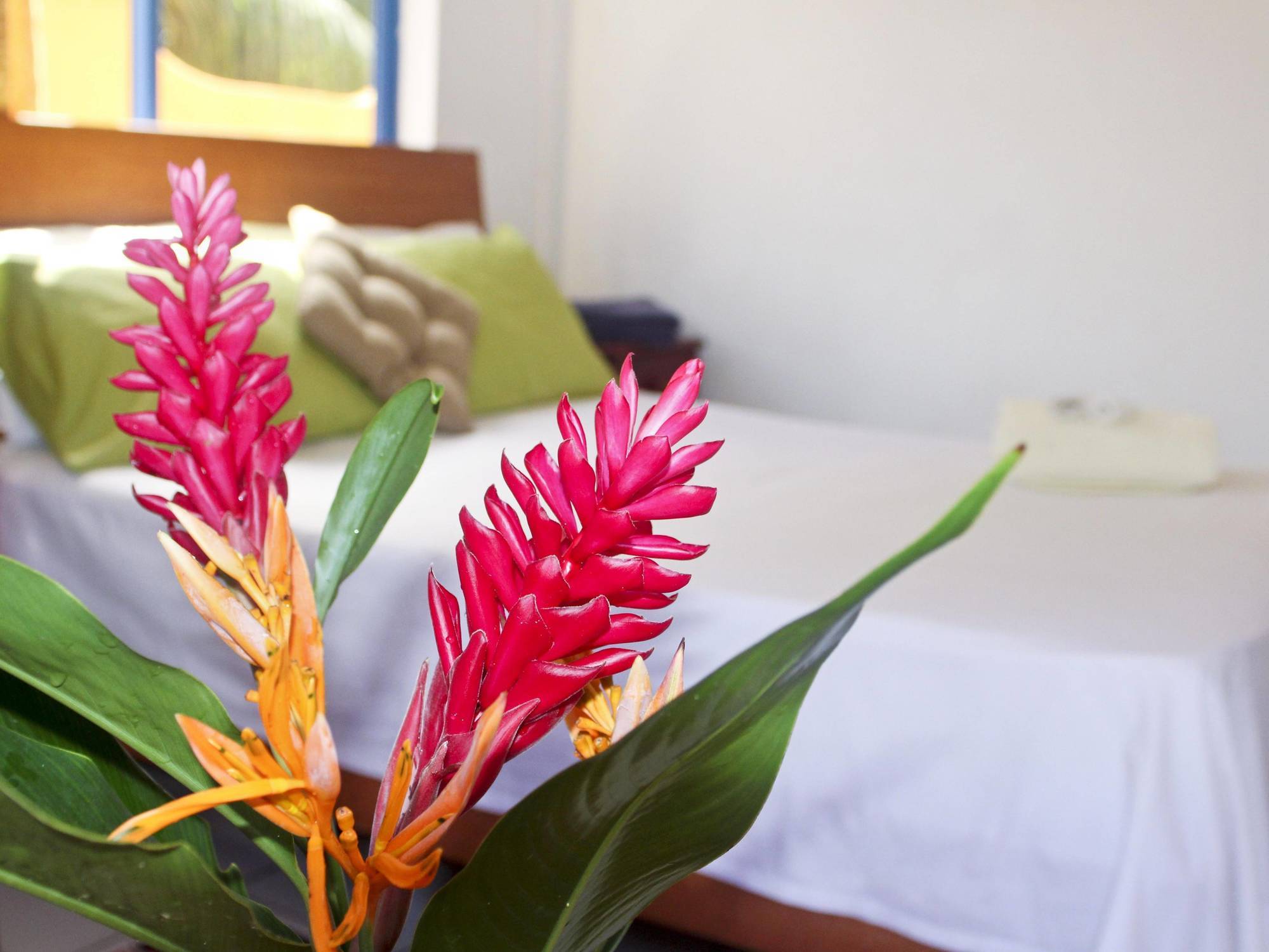 Vicky'S Holiday Apartment Beau Vallon  Exteriör bild