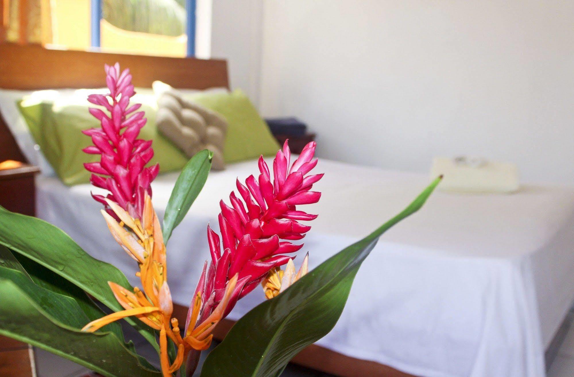 Vicky'S Holiday Apartment Beau Vallon  Exteriör bild